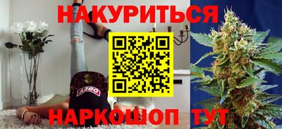 гашик Вязьма
