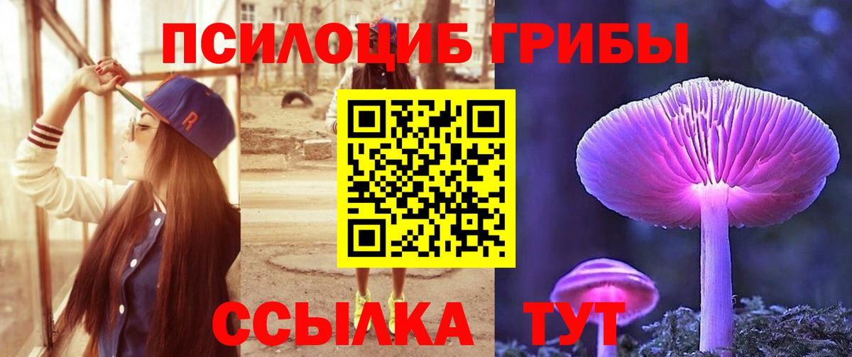 как найти закладки  Вход с VPN  Выкса  Псилоцибиновые грибы мухоморы  Псилоцибиновые грибы мицелий 